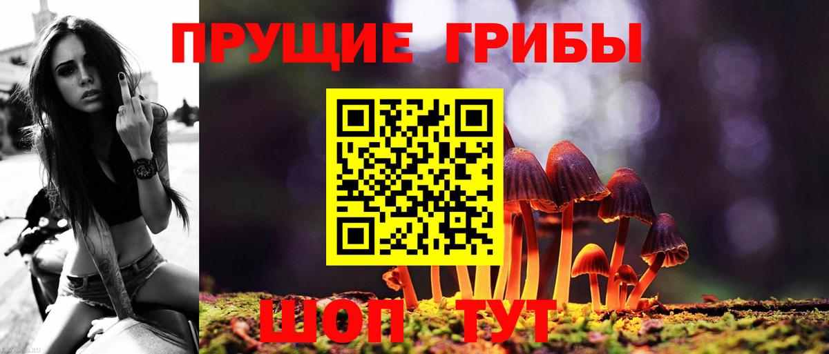 Псилоцибиновые грибы мицелий  Галлюциногенные грибы ЛСД  Кингисепп  Вход с VPN 